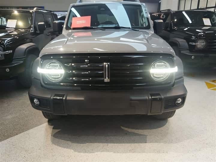 Фото 3 - Tank 300