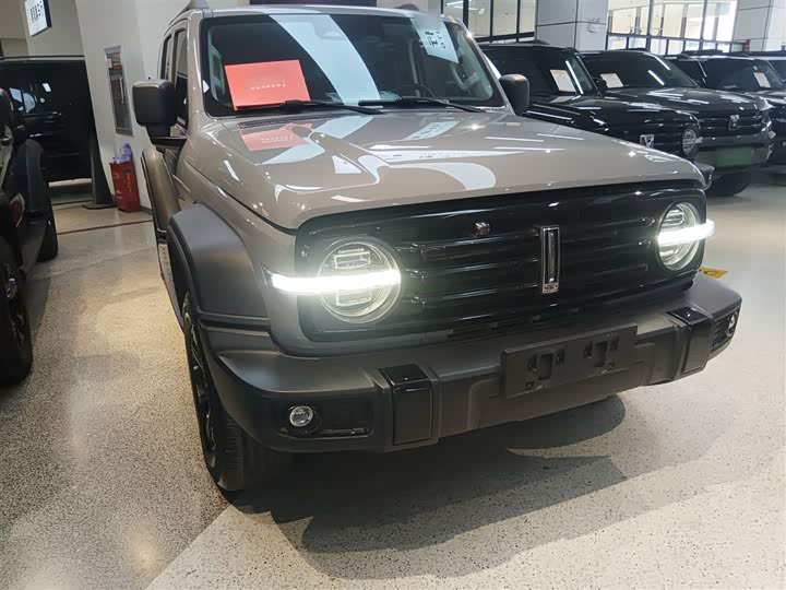 Фото 4 - Tank 300