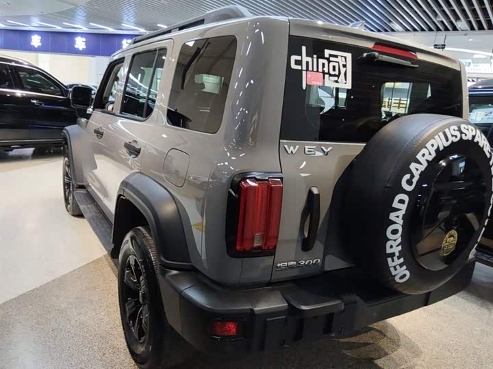 Фото 5 - Tank 300