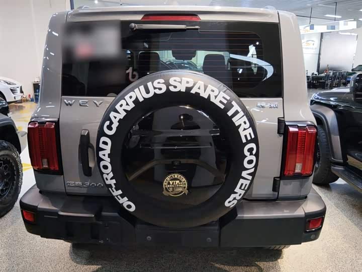 Фото 6 - Tank 300