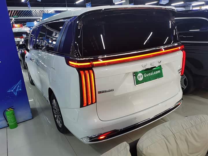 Фото 5 - Wey Gaoshan