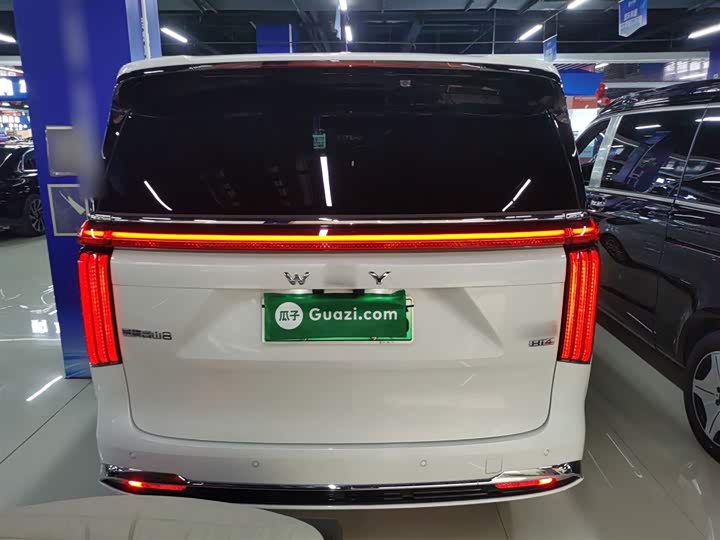 Фото 6 - Wey Gaoshan