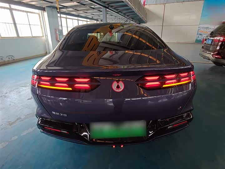 Фото 6 - Denza Z9