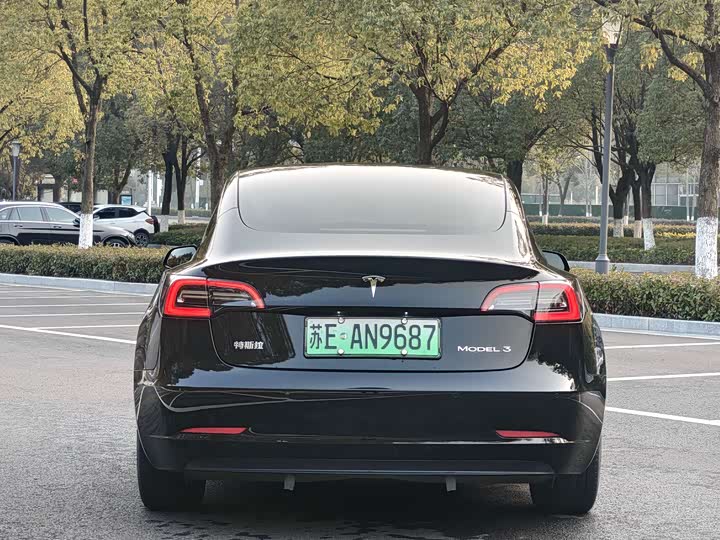 Фото 4 - Tesla Model 3