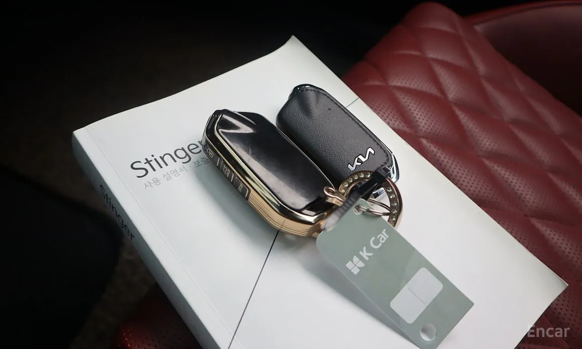 Фото 20 - Kia Stinger