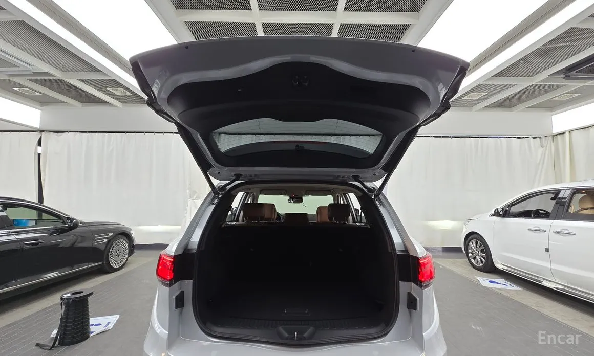 Фото 20 - Renault QM6