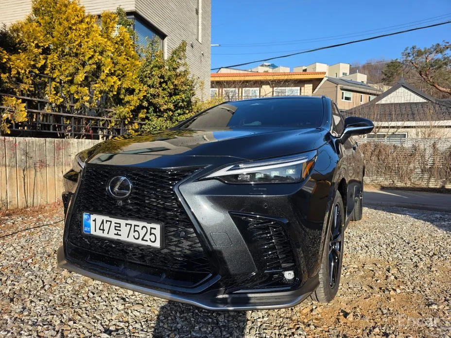 Фото 1 - Lexus NX