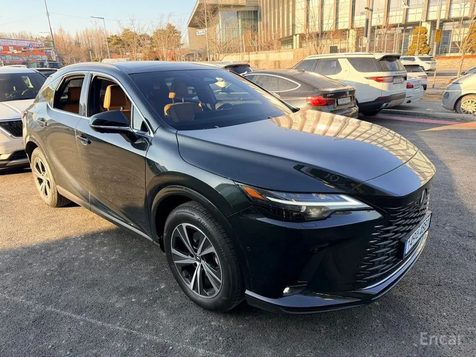 Фото 6 - Lexus RX