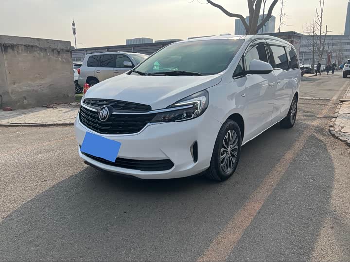 Фото 1 - Buick GL8 ES