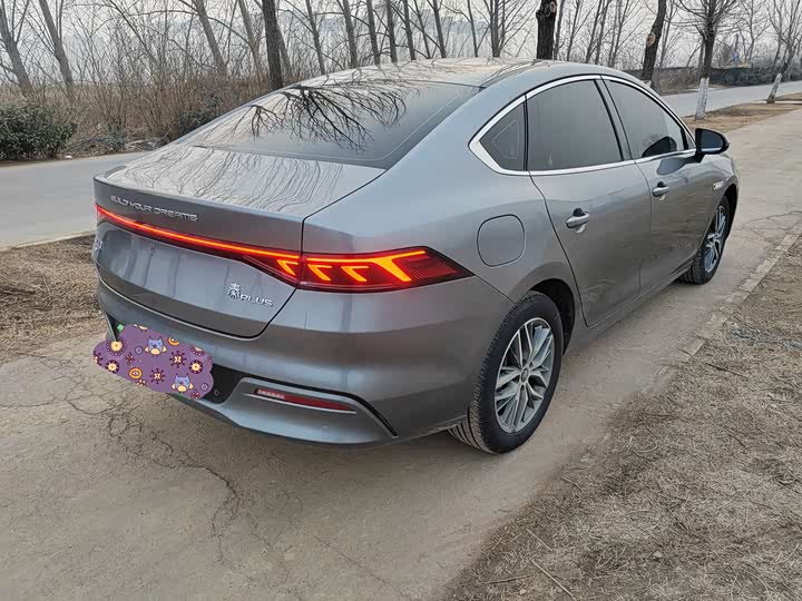 Фото 4 - BYD Qin Plus