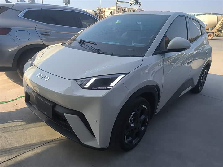 Фото 2 - BYD Seagull