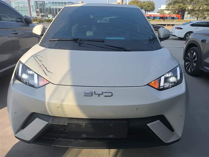 Фото 3 - BYD Seagull