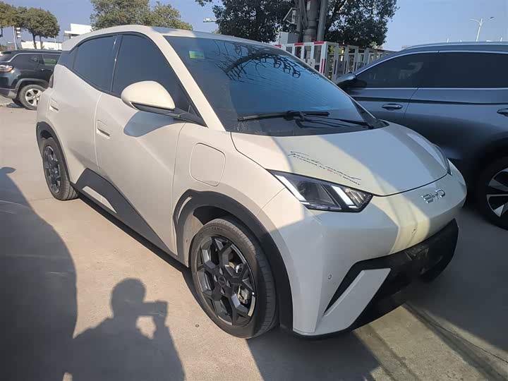 Фото 4 - BYD Seagull