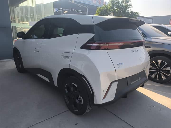 Фото 5 - BYD Seagull