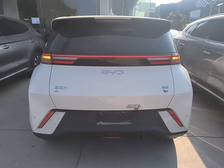 Фото 6 - BYD Seagull