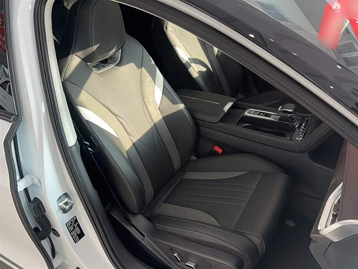 Фото 4 - Hongqi H6