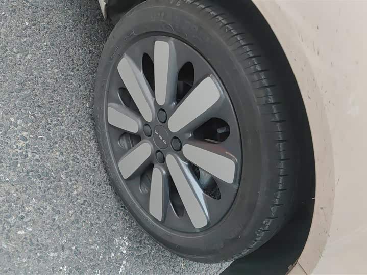 Фото 6 - Ora Black Cat