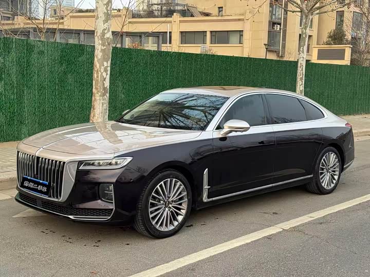 Фото 1 - Hongqi H9