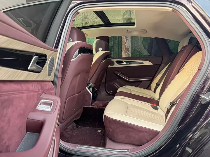 Фото 6 - Hongqi H9