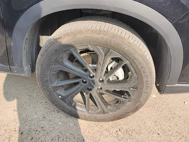 Фото 6 - Dongfeng Aeolus Haoji