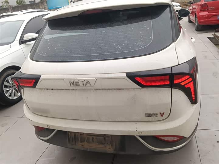 Фото 6 - Hozon V