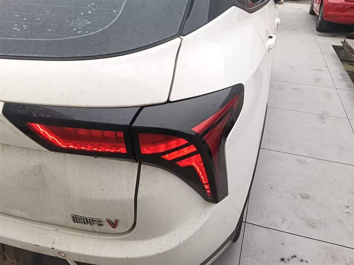 Фото 8 - Hozon V