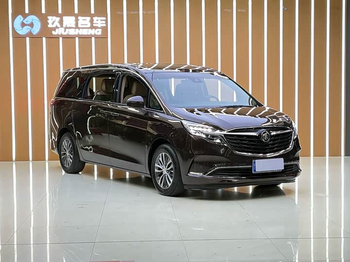 Фото 3 - Buick GL8 ES