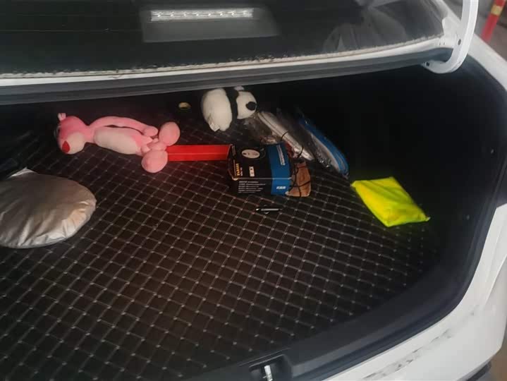 Фото 4 - Toyota Levin