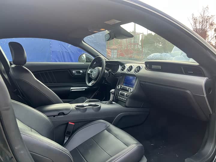 Фото 9 - Ford Mustang