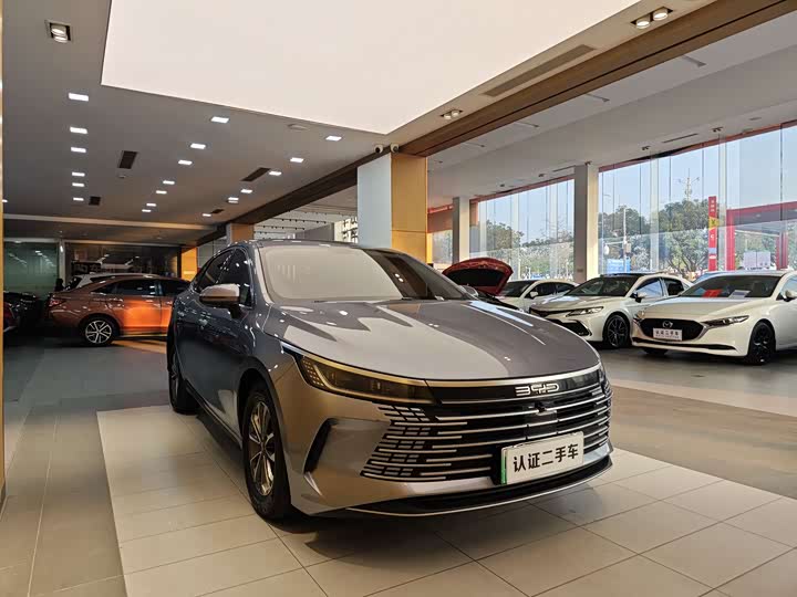 Фото 4 - BYD Destroyer 05