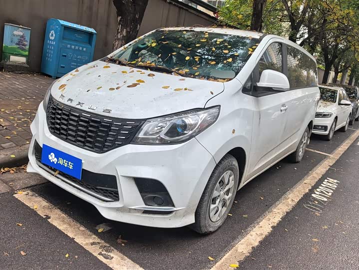 Фото 1 - Maxus G10