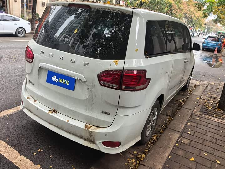 Фото 3 - Maxus G10