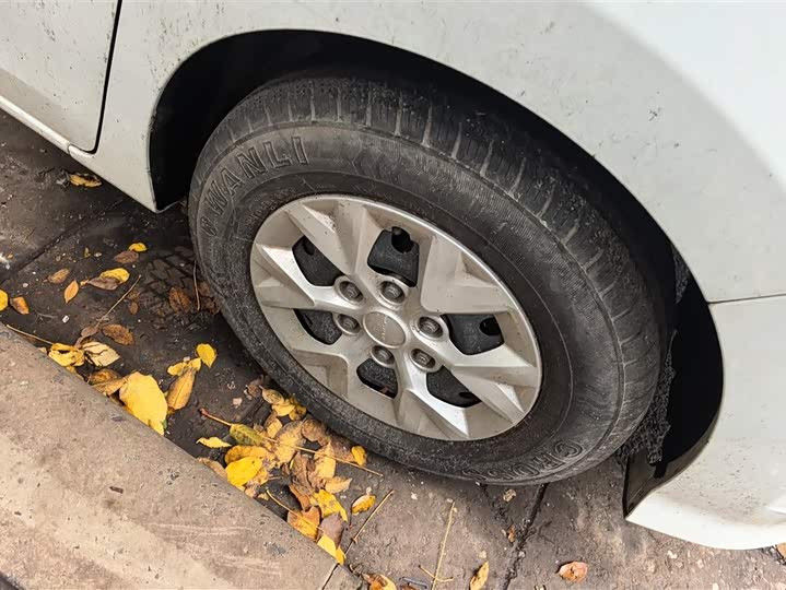 Фото 6 - Maxus G10