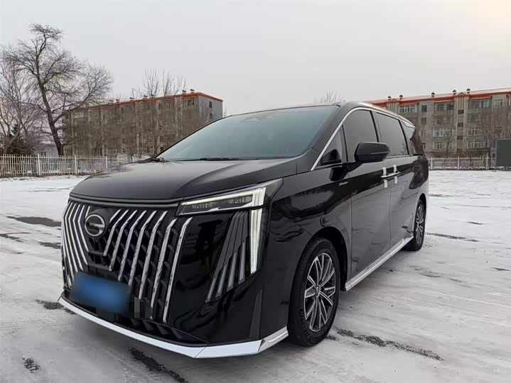 Фото 2 - GAC Trumpchi M8