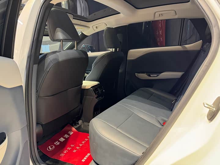 Фото 7 - Lexus RZ