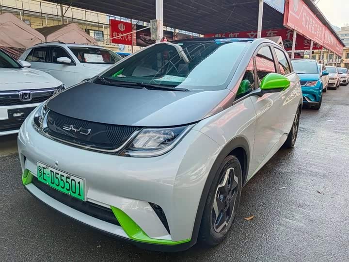 Фото 1 - BYD Dolphin