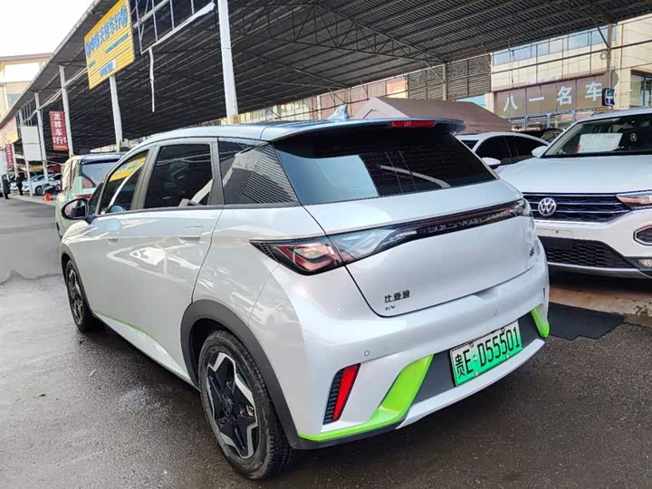 Фото 2 - BYD Dolphin