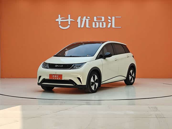 Фото 1 - BYD Dolphin