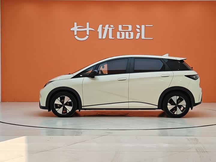 Фото 2 - BYD Dolphin