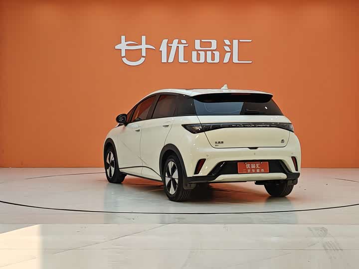 Фото 3 - BYD Dolphin