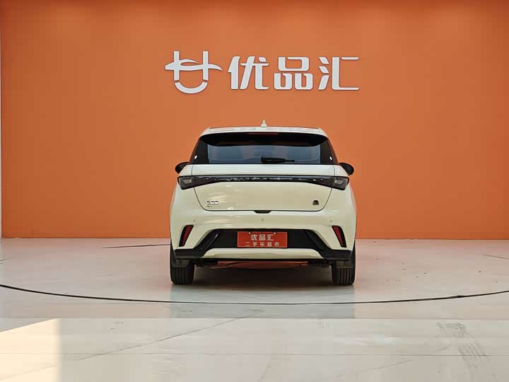 Фото 4 - BYD Dolphin