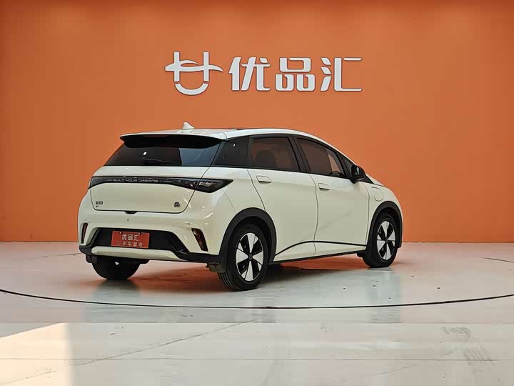 Фото 5 - BYD Dolphin