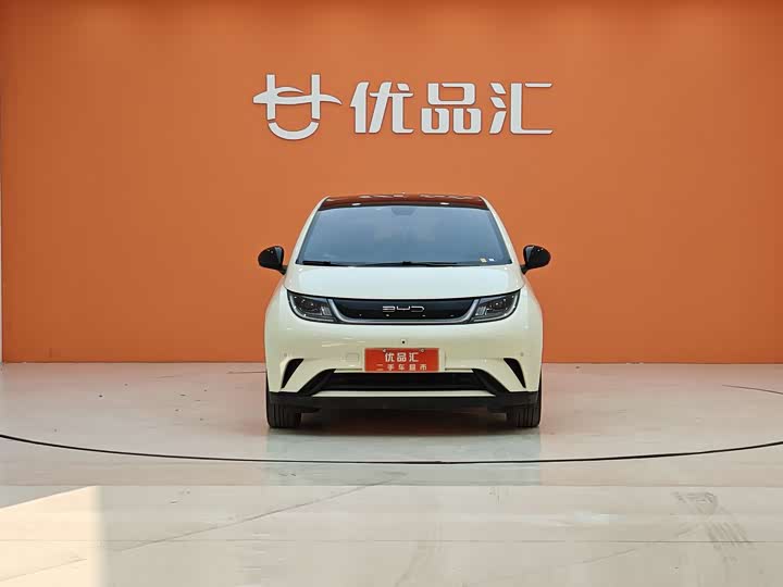 Фото 8 - BYD Dolphin