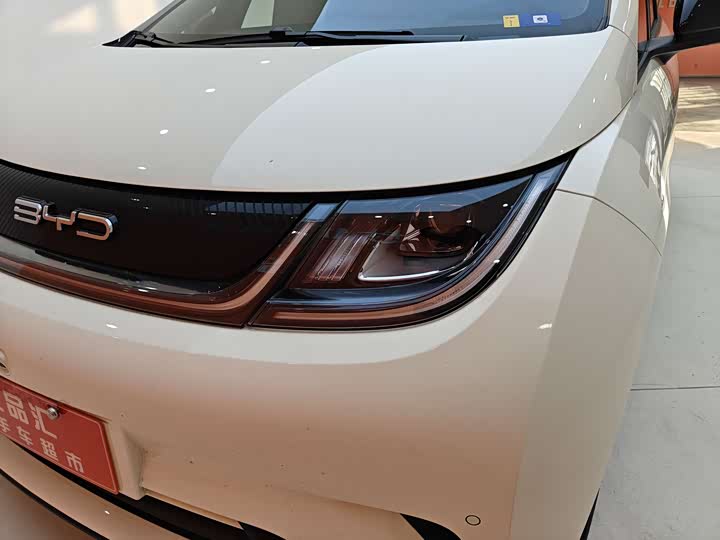 Фото 9 - BYD Dolphin