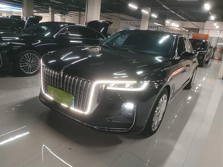 Фото 1 - Hongqi H9