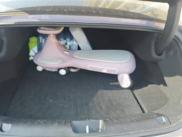 Фото 4 - Ora Lightning Cat (07)