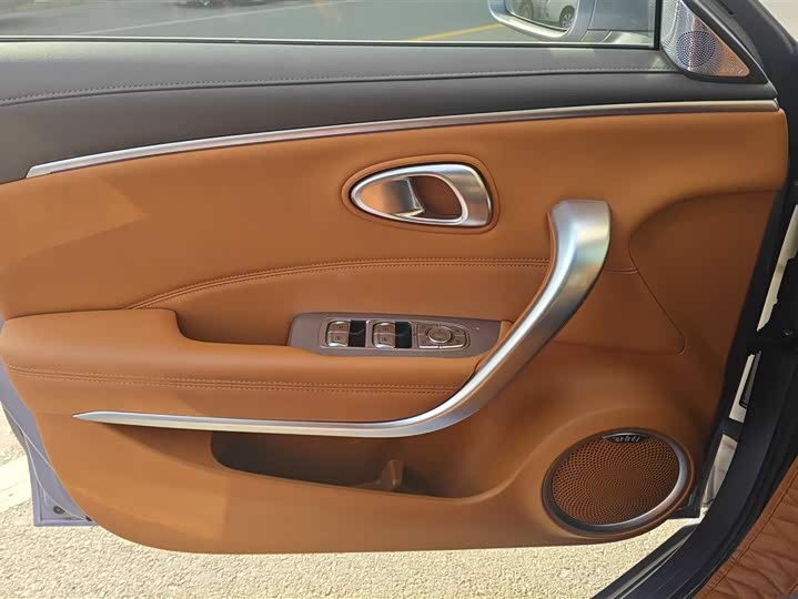 Фото 7 - Ora Lightning Cat (07)