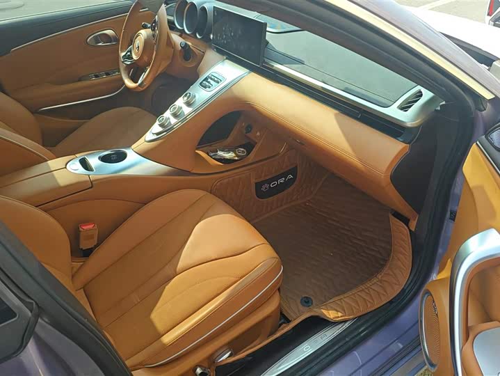 Фото 8 - Ora Lightning Cat (07)