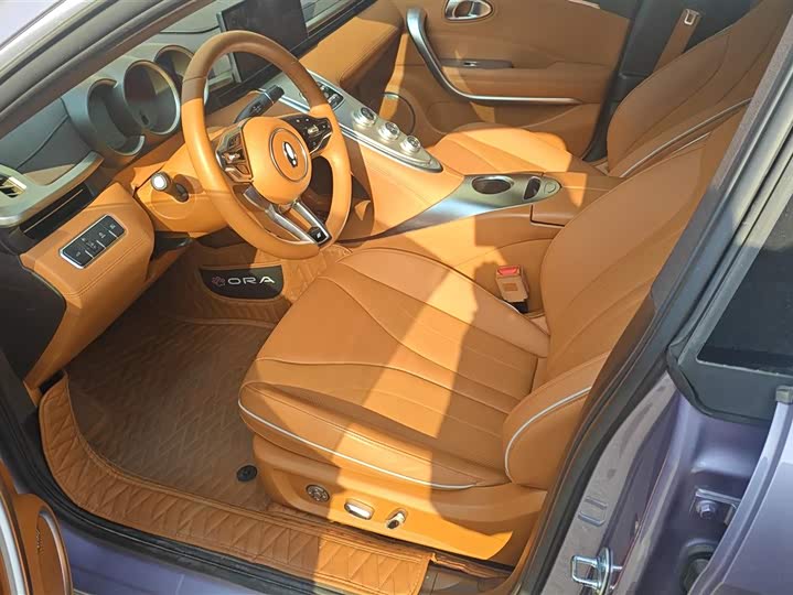 Фото 9 - Ora Lightning Cat (07)