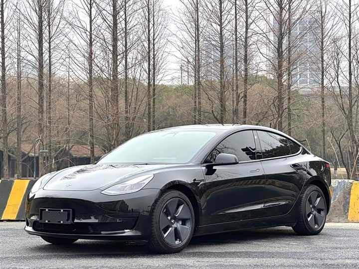 Фото 1 - Tesla Model 3